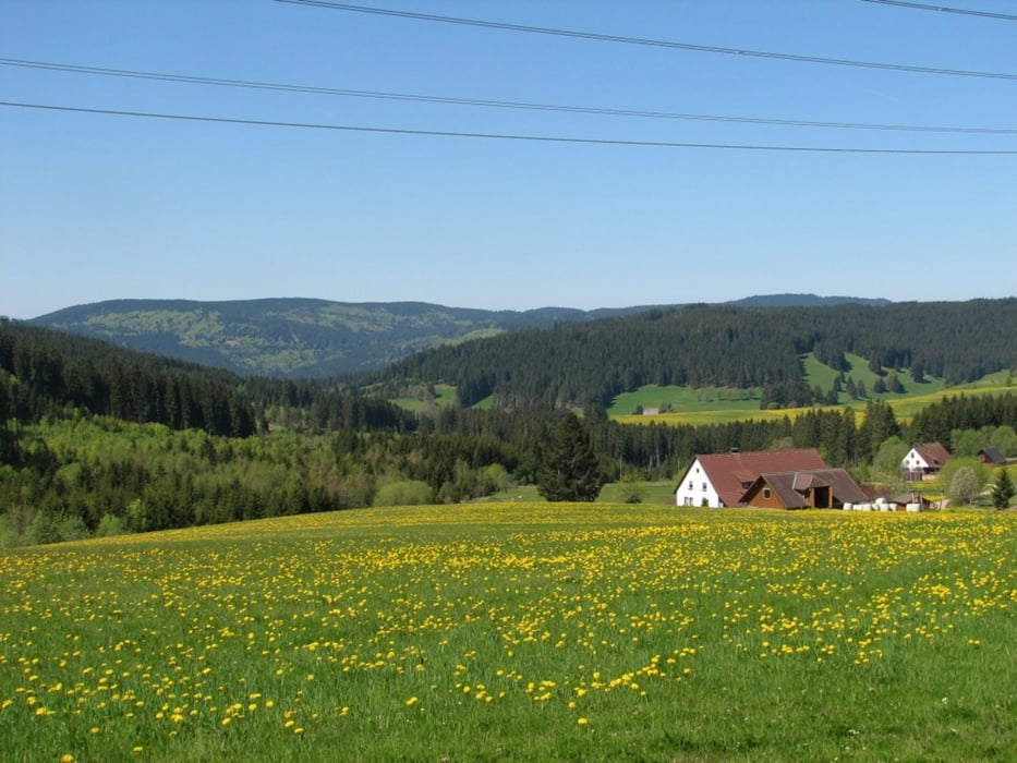 Cross Schwarzwald - 4 Etappen