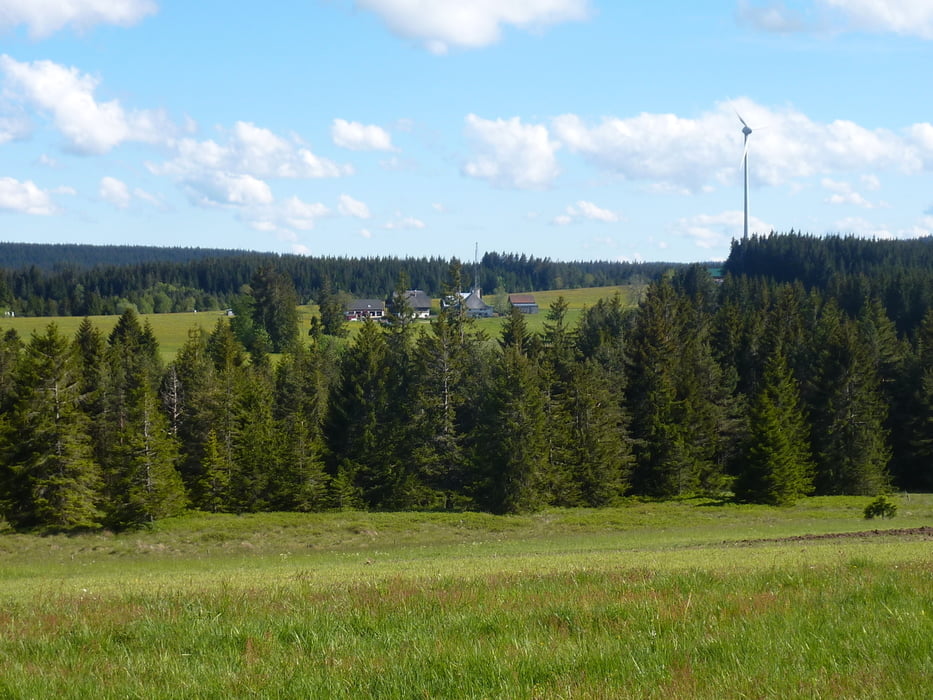 Skihütte Rohrardsberg - Blindensee - Rundtour