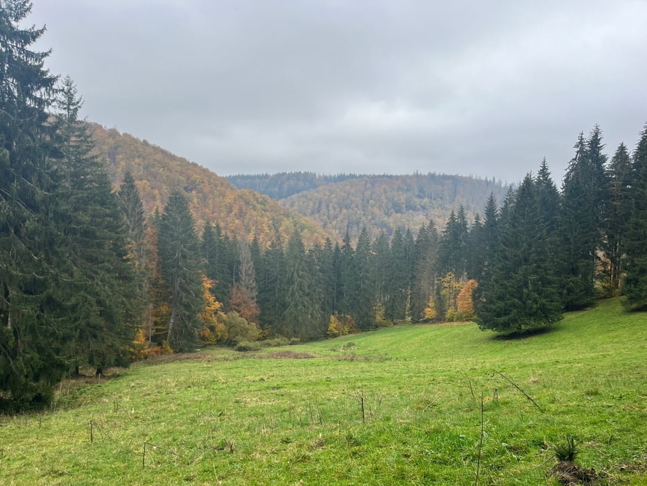 Zweimal übern Rennsteig