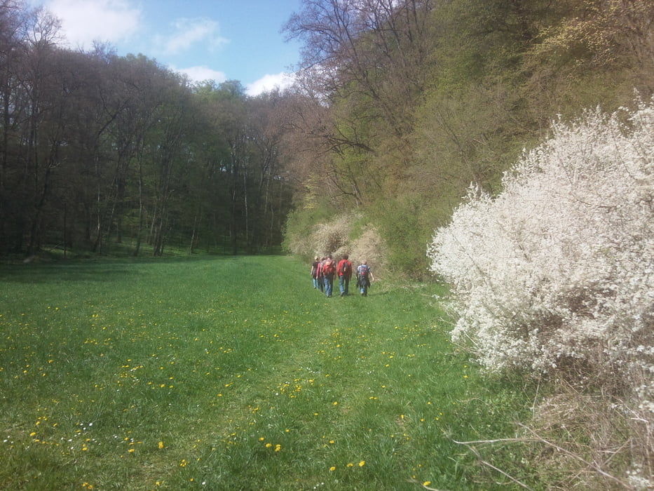 Runde durch Lohnetal und Eselsburgertal