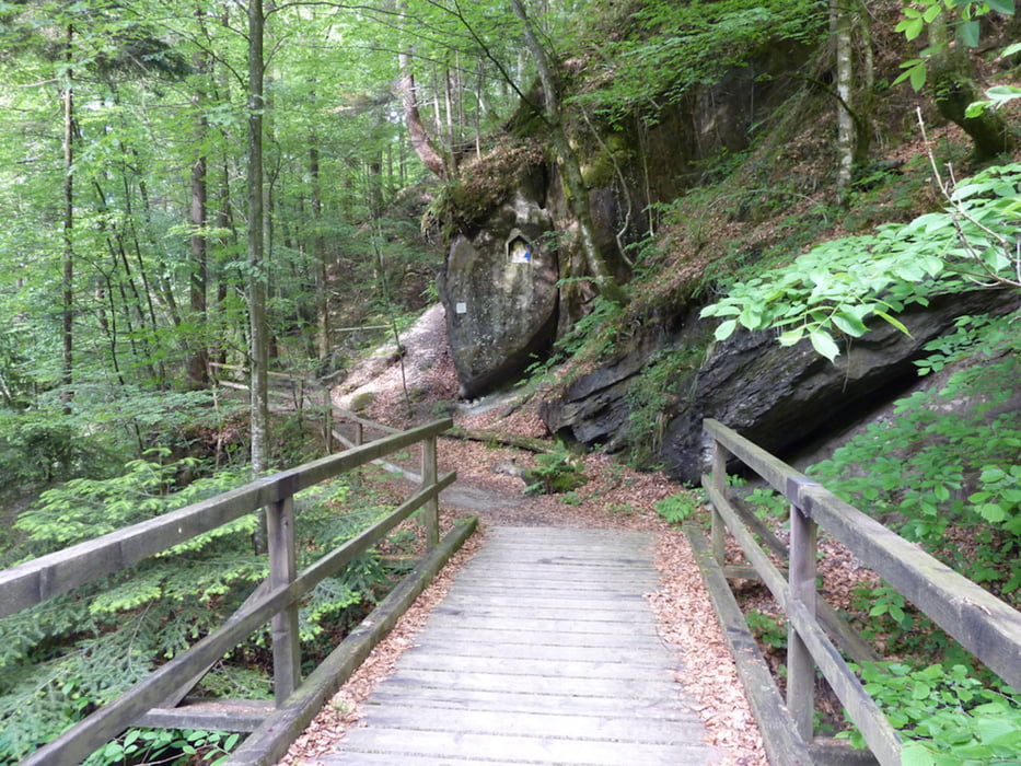 Wolfurt - Schneiderkopf - Buch