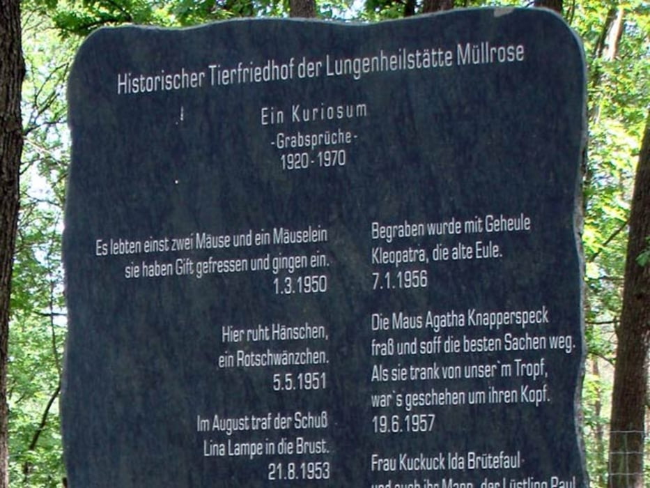 156) Zum Tierfriedhof am Gut Zeisigberg bei Müllrose