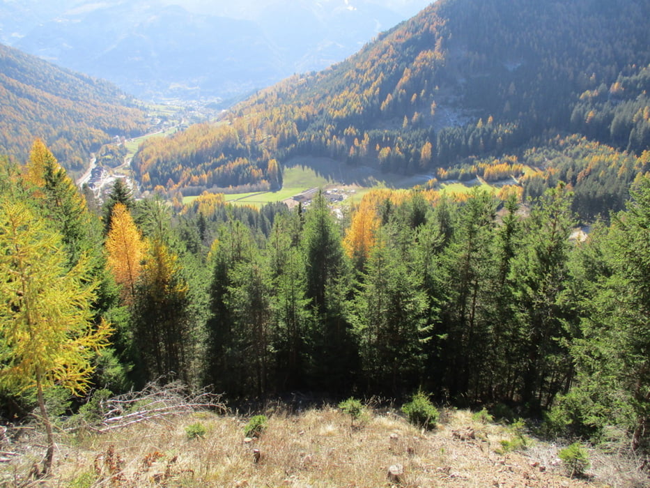 Prestavel in Val di Stava