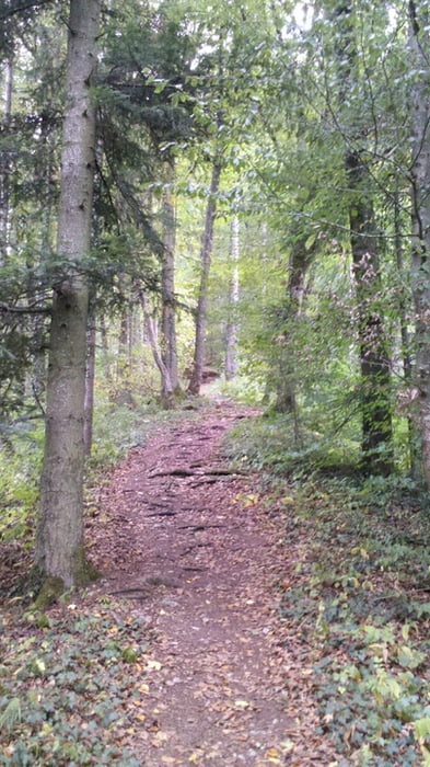 Feierabendrunde Rottenburg I