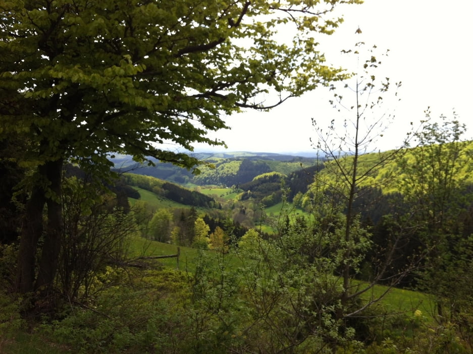 Rundweg Willingen - Hohe Pön - Ettelsberg