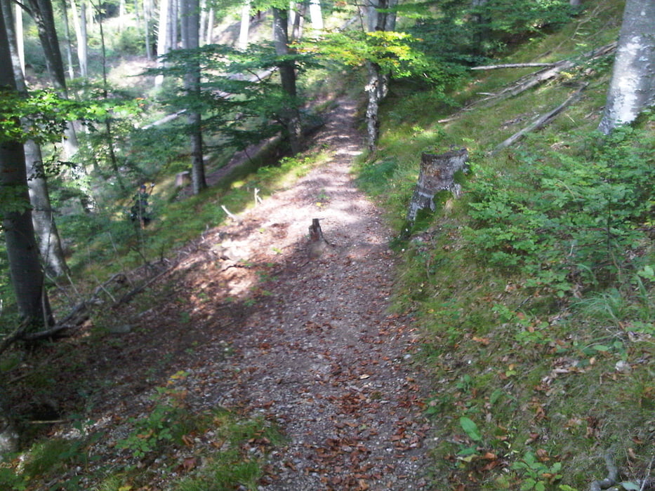 Lechhöhenweg - Richtung Landsberg