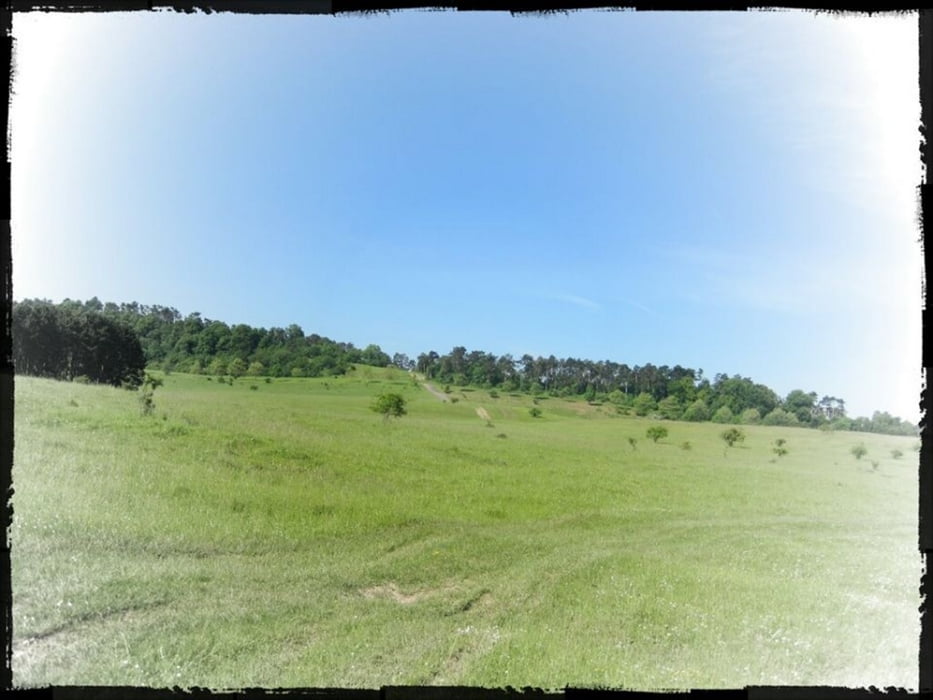 Harsumer Wald - Hasede - Giesener Teiche