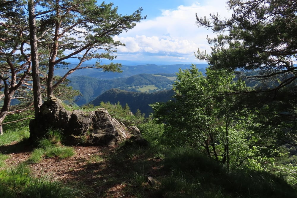 Kopitnik, ein Berg in der Slowenischen Steiermark