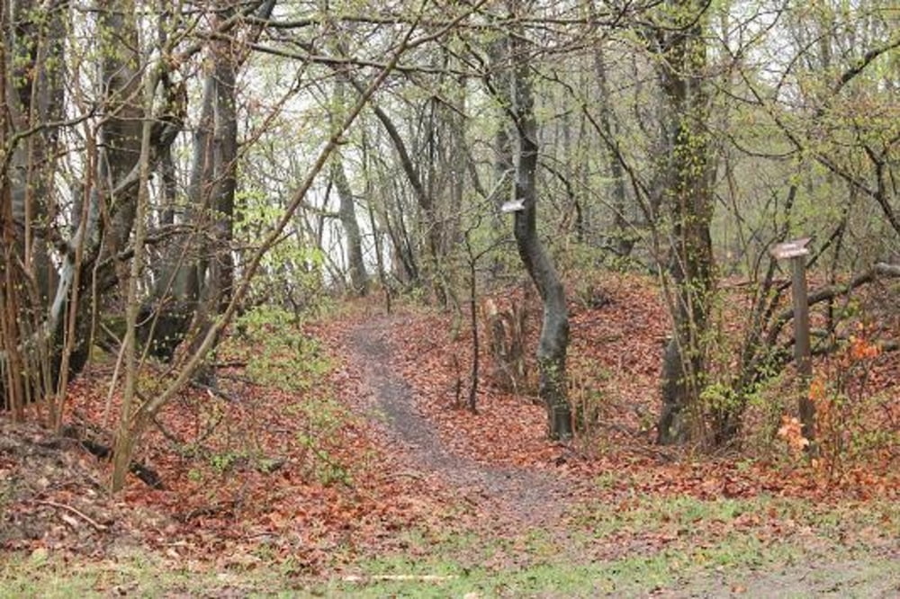 Heberkamm  Lamspringe - Mechtshausen - Glashütte - Lamspringe