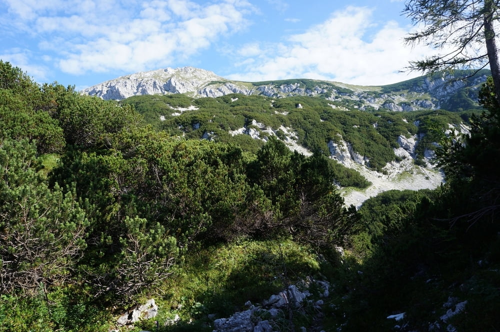 Hoher Nock über Budergraben, Variante Koppenalm