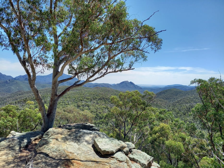 Warrumbungles - White Gum Lookout Walk