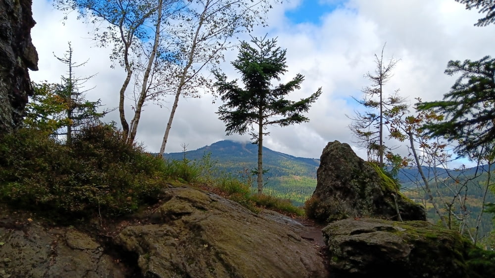 Auf dem Urwaldsteig in Bayerisch Eisenstein