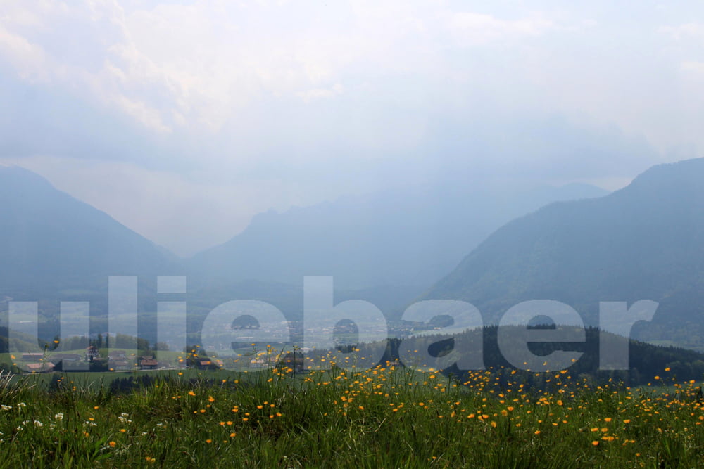 Ainring  -Stroblalm - Hammerau