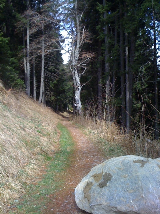 Tisens - Lana - Vigiljoch - Lana - Tisens (mit Gondel)