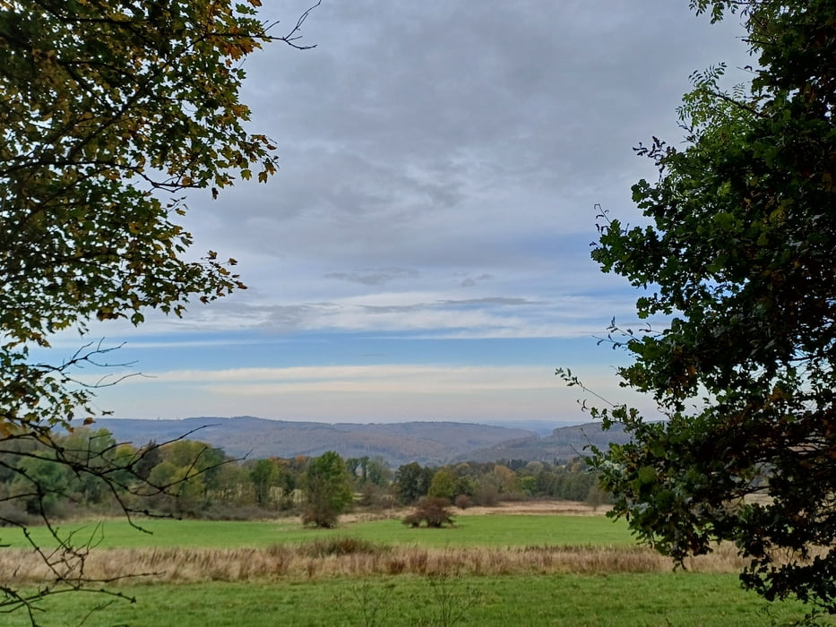 Bad Marienberg: Zum Großen Wolfstein, zur Waldkirche und zum Basaltsee