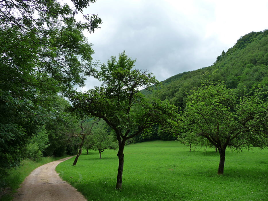 Weilheim-Krebsstein Trail-Unterlenningen-Kirchheim