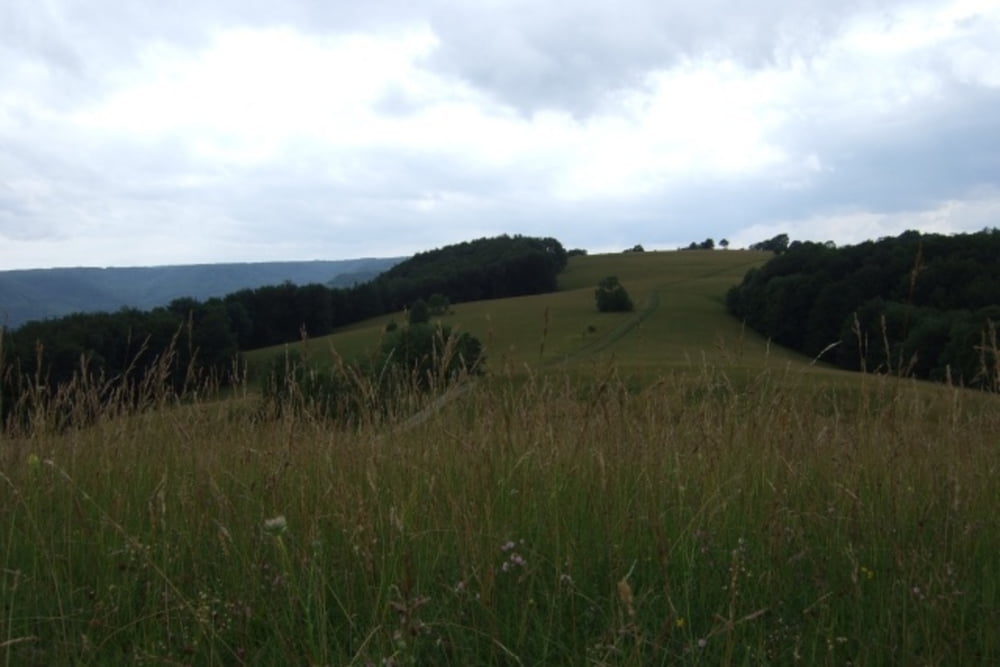 Von Tübingen auf die Alb