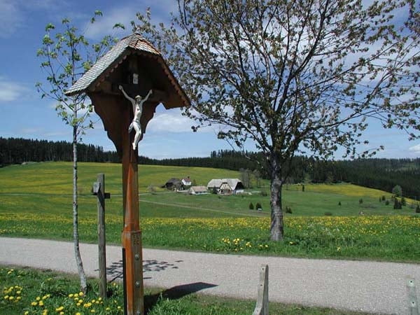 Wanderung zum Reitsattel (Titisee-Neustadt/ OT Schwärzenbach)