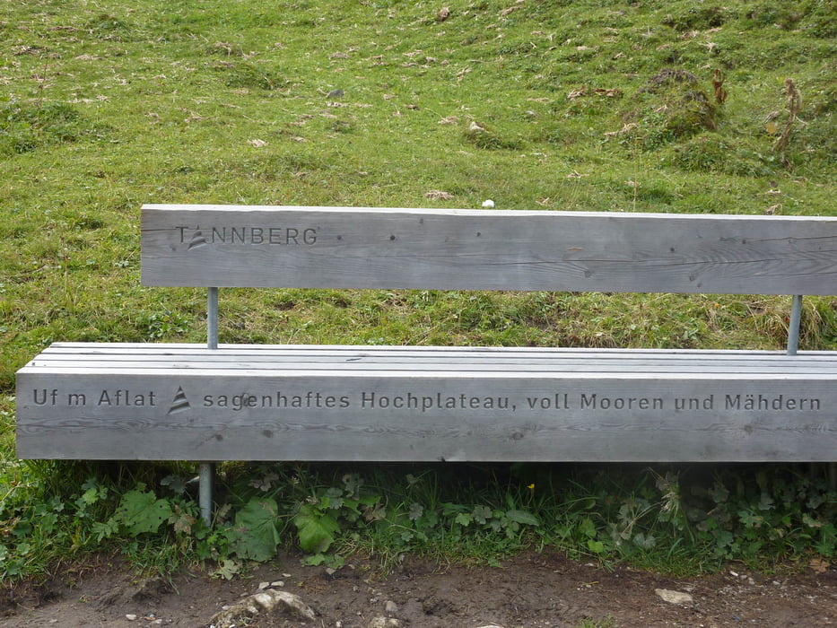 Bürstegg (Auenfeld, Saloberkopf)