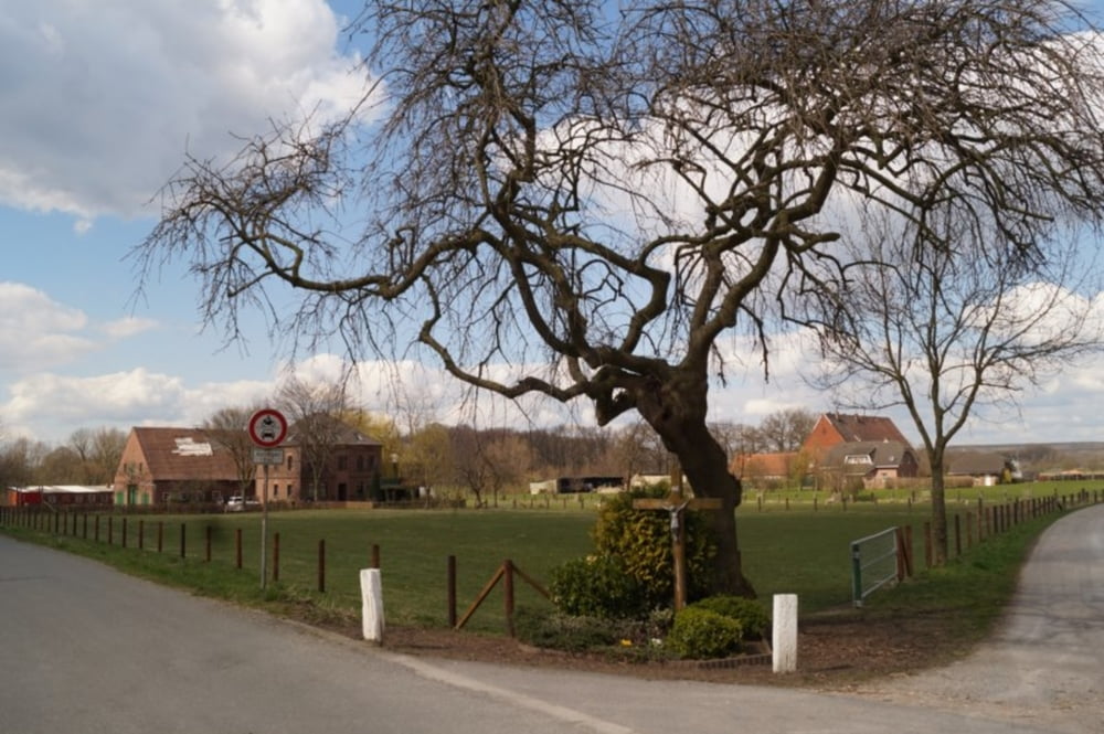 nach Marl Kanal und zurück nach Langenbochum