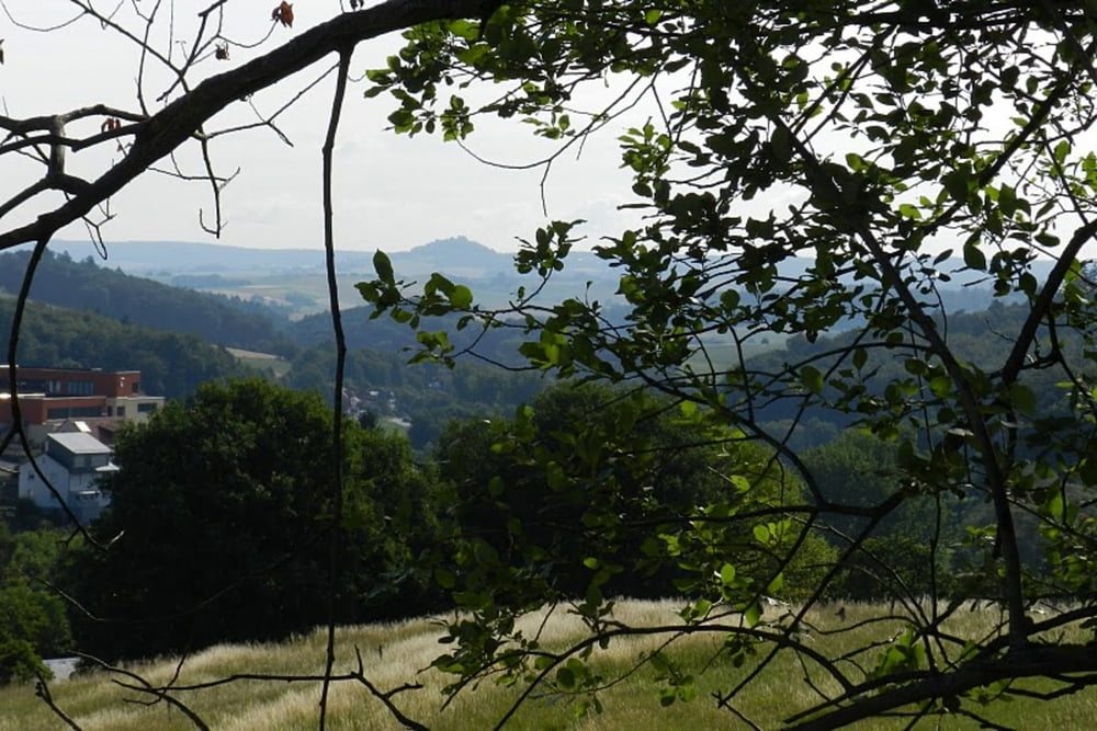 Alemannenweg / Teilstück Ernsthofen bis Otzberg