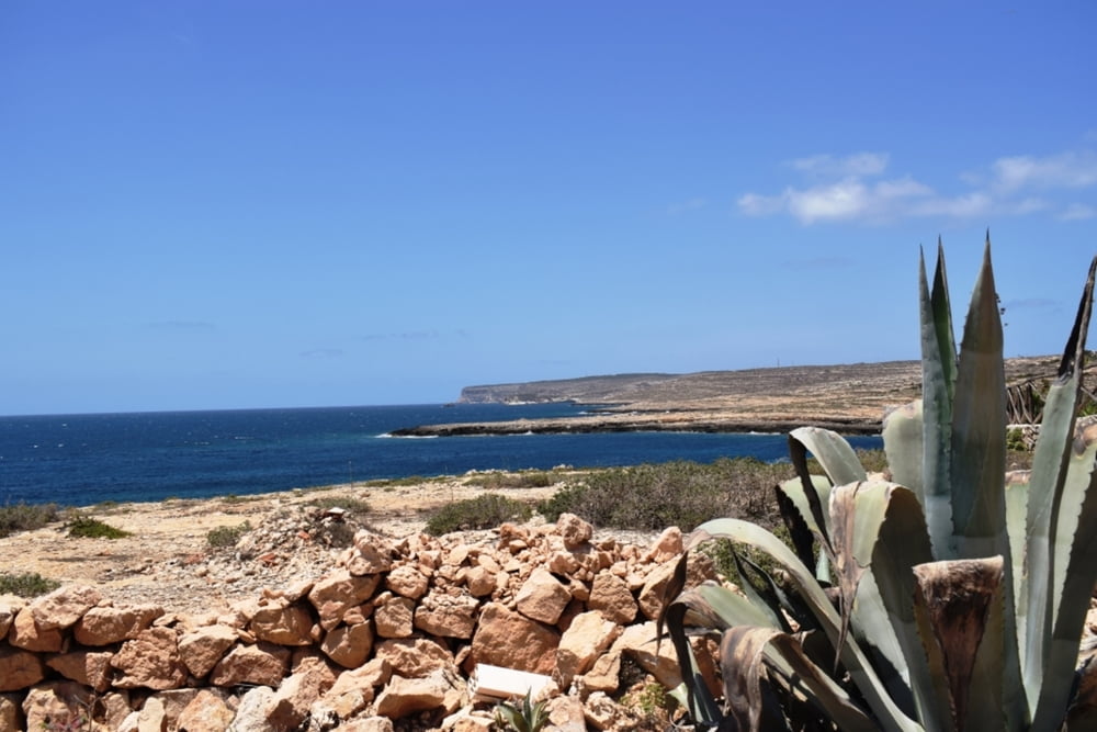Lungo la costa di Lampedusa