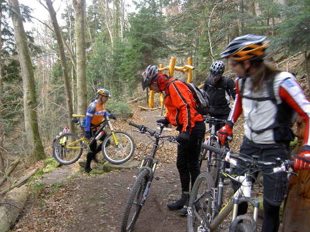 Würm und Nagoldtal auf div. Trails