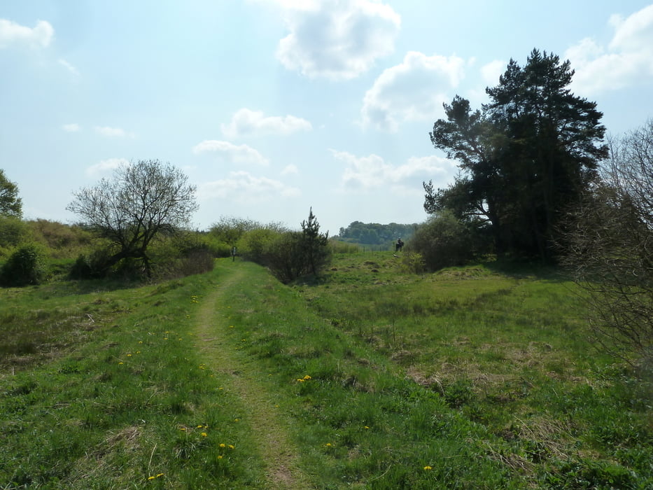 Tiergartentunnel -Blankenheim-