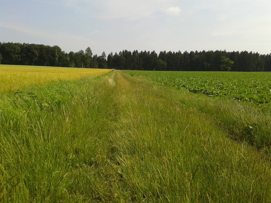 schöne Gassi geh Runde