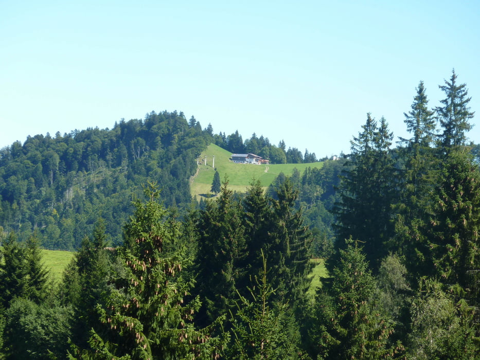 Alberschwende - Brüggelekopf (Lorena)