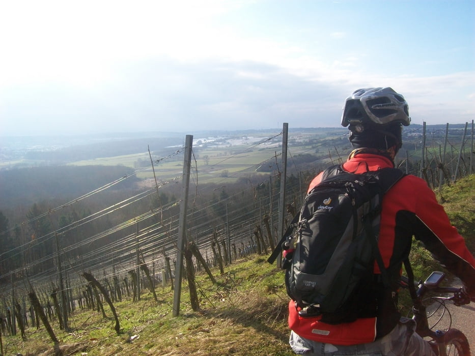 Vom Rande des Kraichtals zum Turmberg