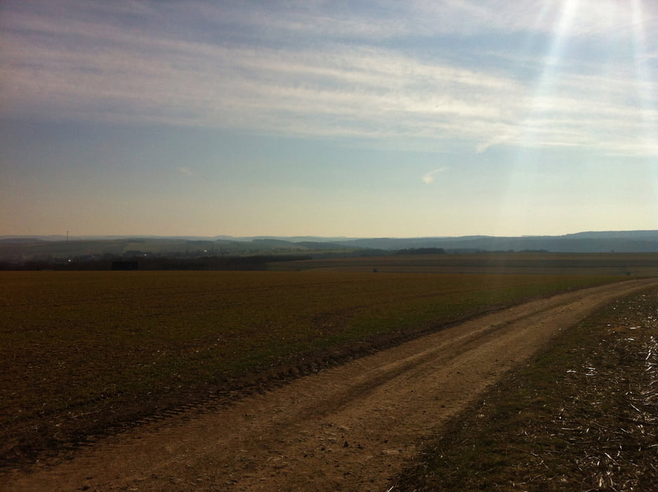 Tharandter Wald und Talsperren