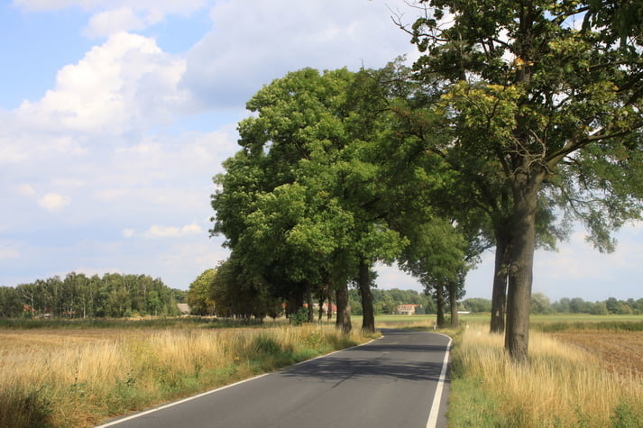 Grosse Schauener Seenkette 