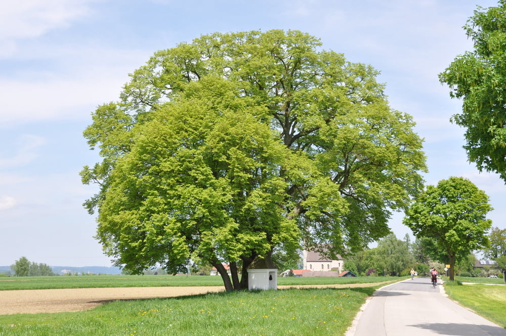 Durch den Rupertiwinkl - Tittmoning - Abtsee - Waginger See