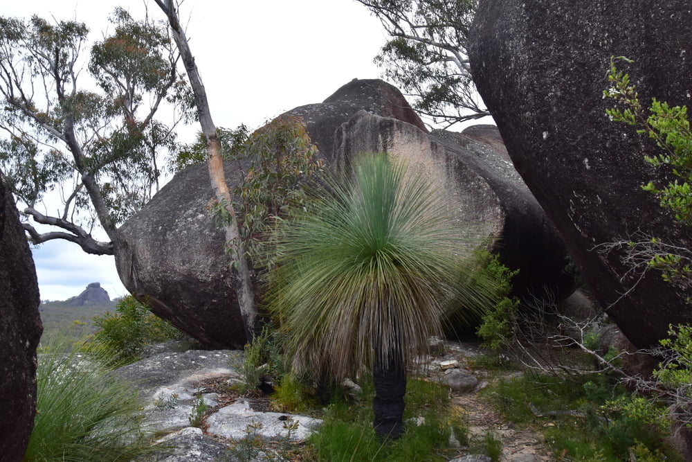 Gibraltar Range - Anvil Rock