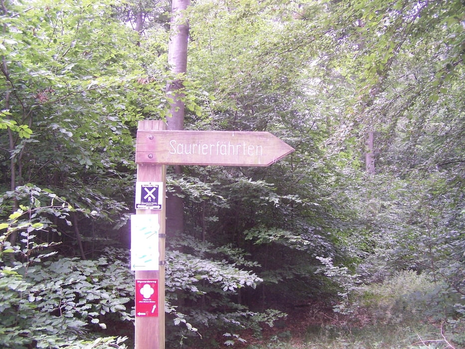 Urlaub auf dem Weserradweg - Ausflug zum Steinhuder Meer