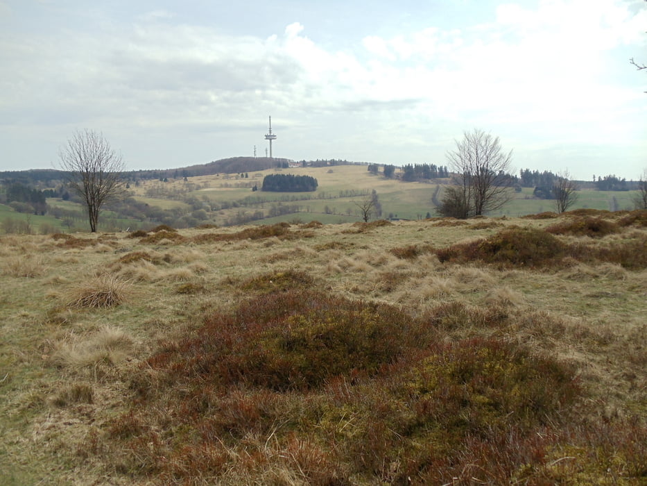 Wandertour Hoher Vogelsberg Hoherodskopf