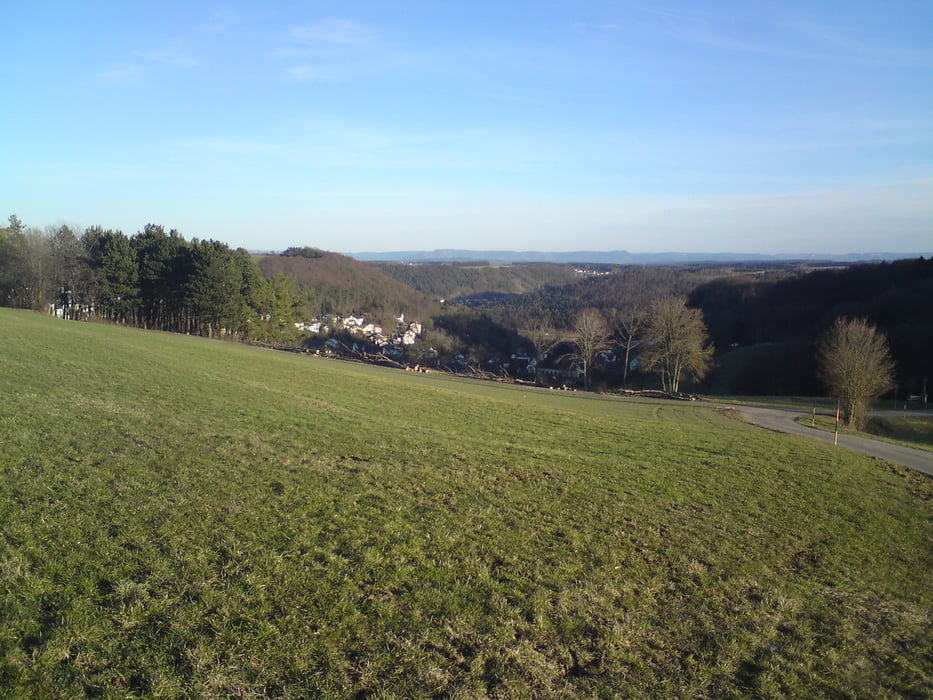 Vorbei an den Rexinger Höfen durch den Wald Richtung Bittelbronn und zurück