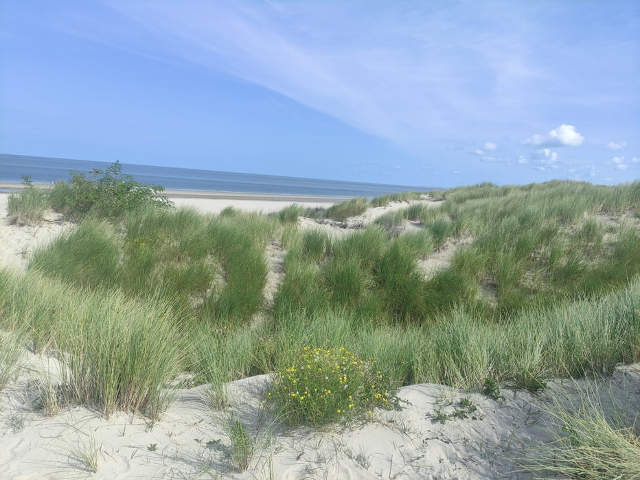 Borkum - Tour ins Ostland und zur Übergangsdüne Ostland