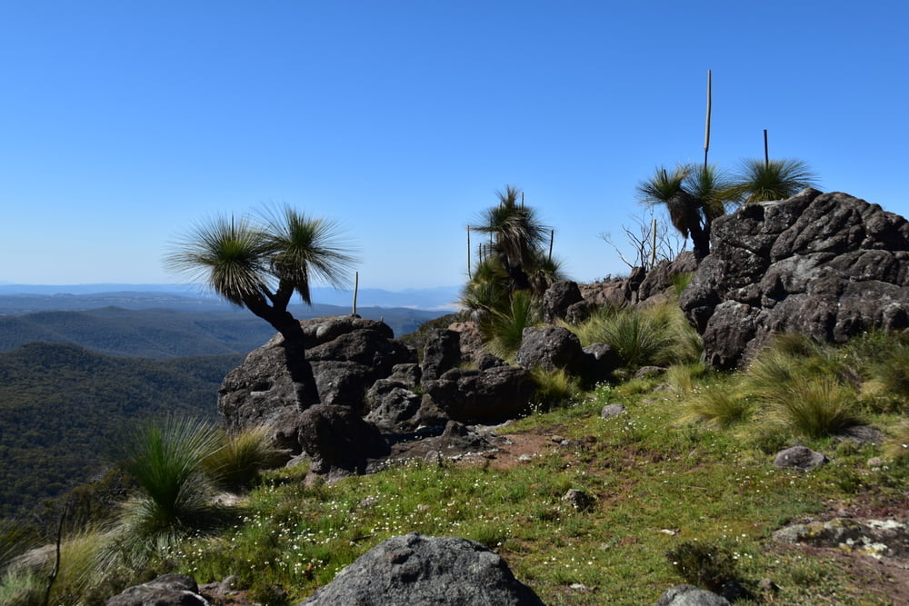 Mt.Kaputar-Rocky Plateau Firetrail