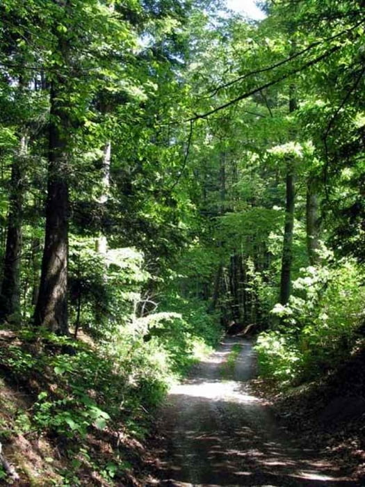 Riesrunde Mönchsdeggingen - Eisbrunn - Mauren