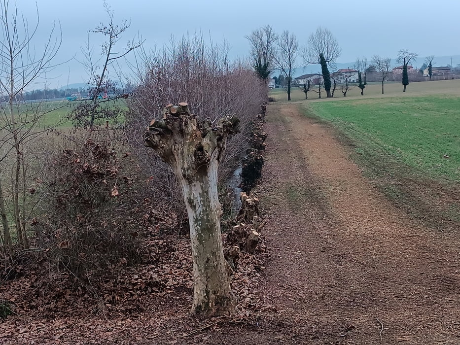 Marcia della Fraternità 2025 a Monticello Conte Otto (VI)