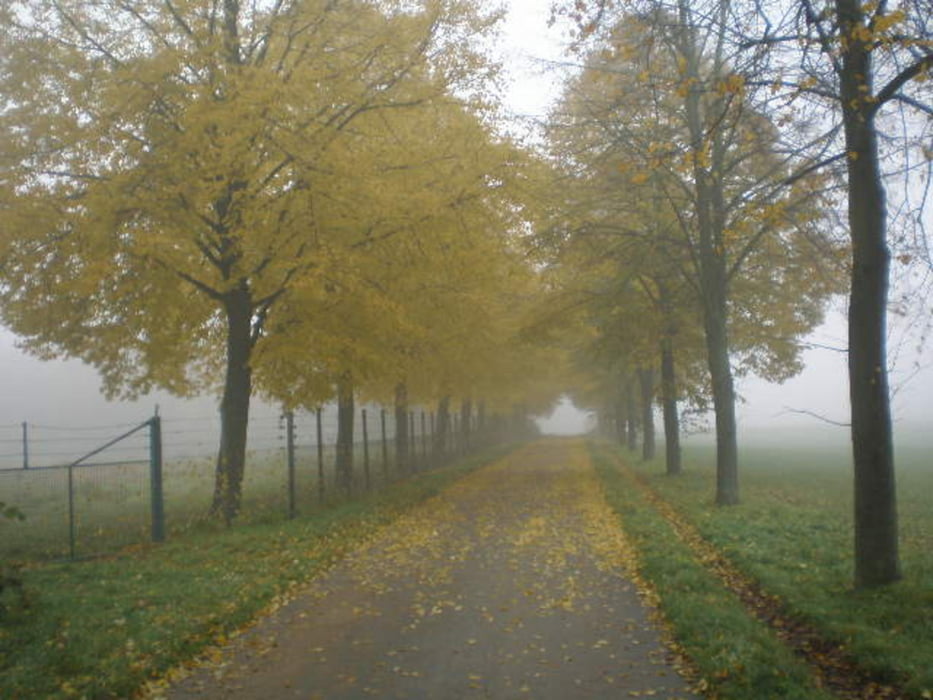 Ürdinger Brücke-Rheinhausen-Rheinorange