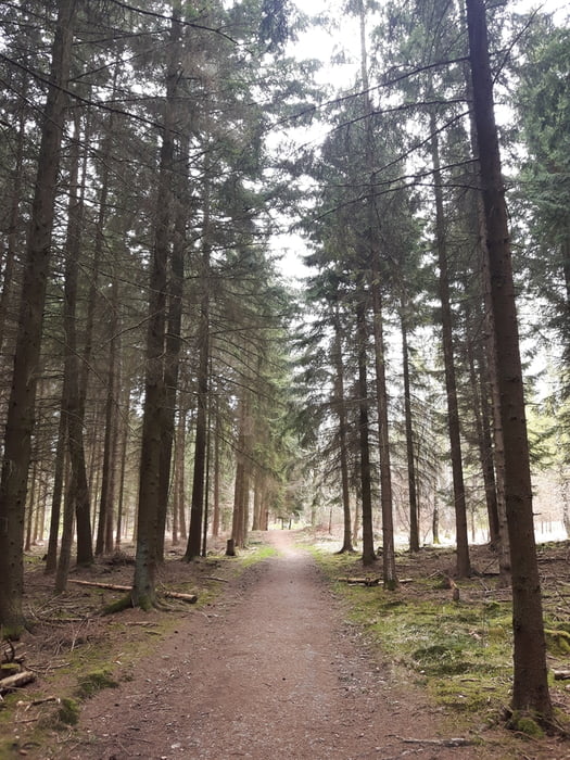 Weidacher Höhe, Waldlehrpfad, Siebenmühlental