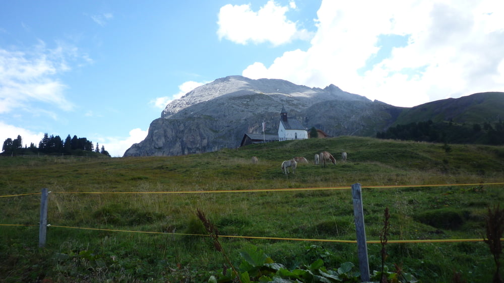 Von Saltria um Platt- und Langkofel