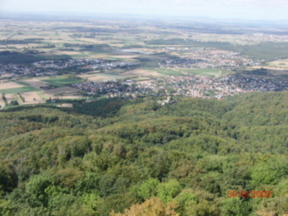 Gernsheim <--> Melibokus 3