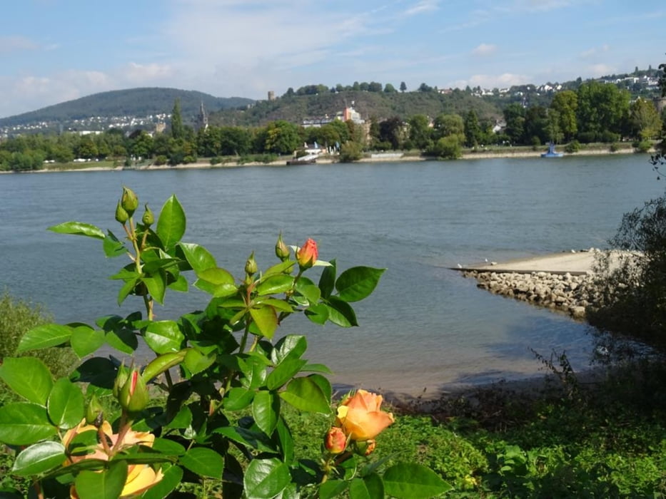 Von Spay am Rhein nach Koblenz mit Abstecher zum Schloss Stolzenfels