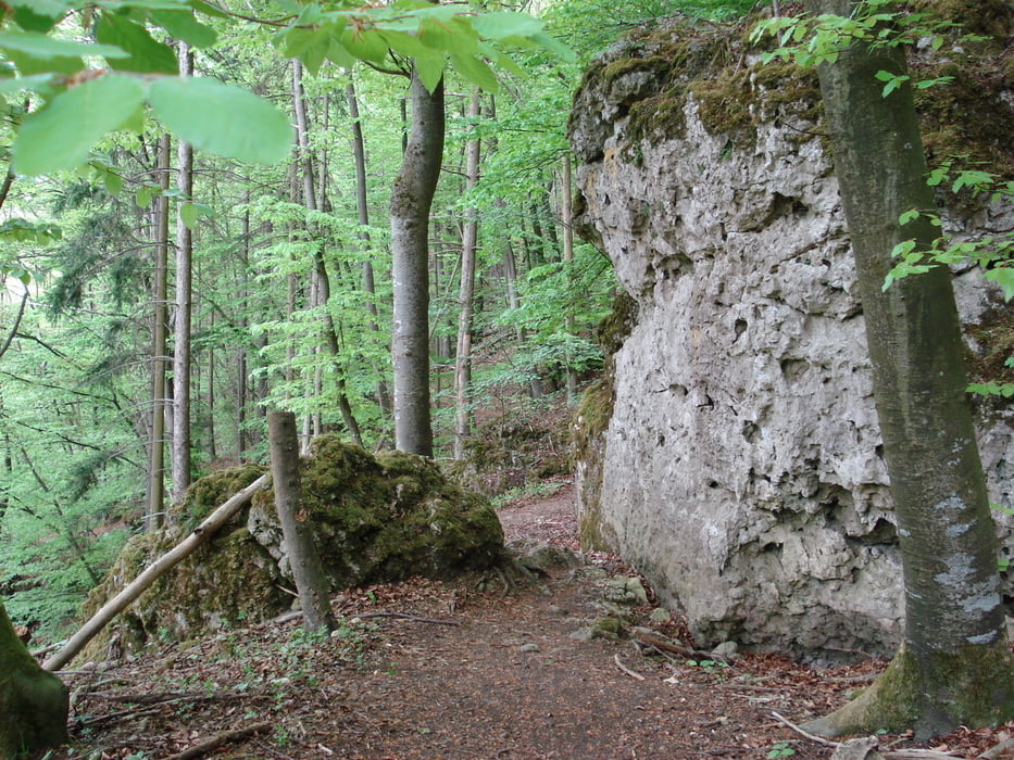 On the hights between Regensburg and Duggendorf