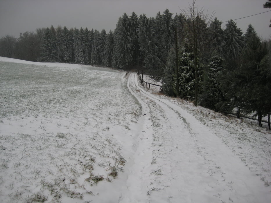 Rund um das Wildgehege Lüdenscheid