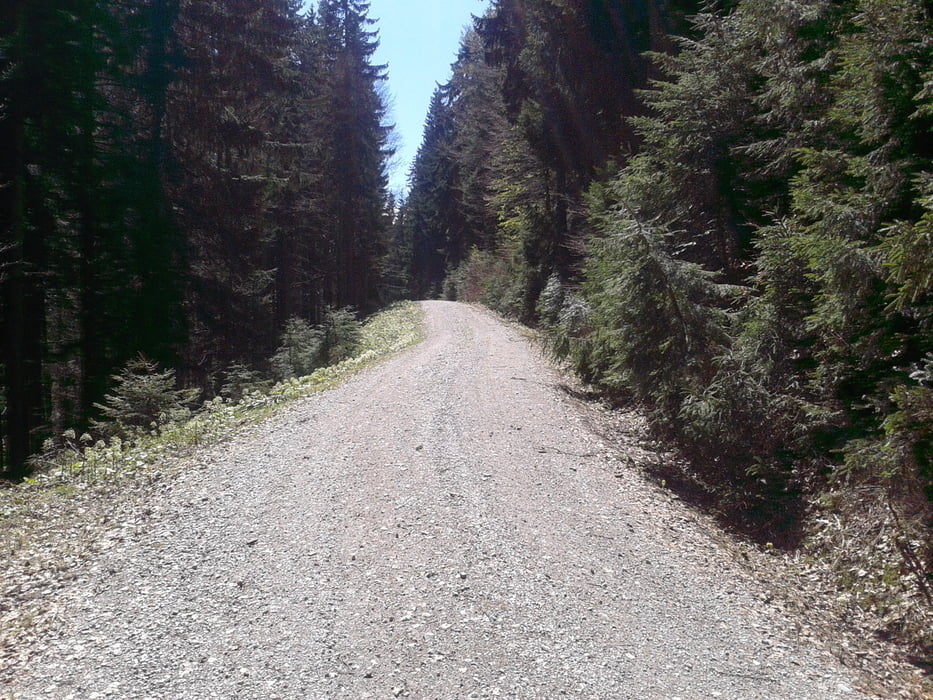 Marienstein > Bad Wiessee > Auer-Alm > Marienstein